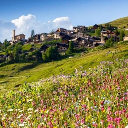 Casa-La Carotto Apart In Chalet Saint Veran المظهر الخارجي الصورة